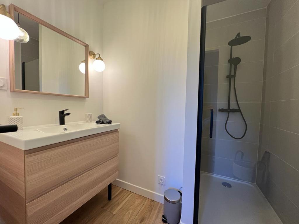Appartement Coup De Coeur. St Etienne-Rochetaillee Saint-Etienne  Exteriör bild